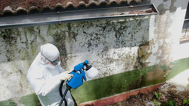 Top rated local Mold Testing specialists in Harwood, MD